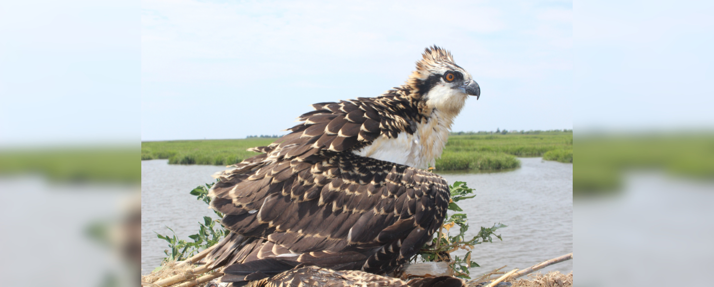 Explore Nature on International Biodiversity Day