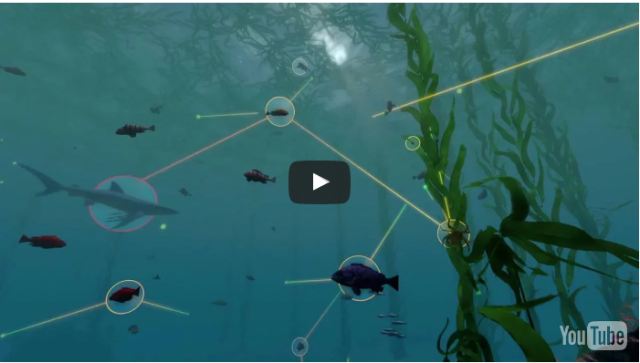 Exploring Ecosystems: Coastal Food Web