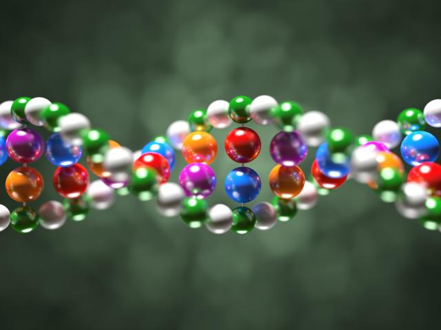 Genes and Traits - Legends of Learning