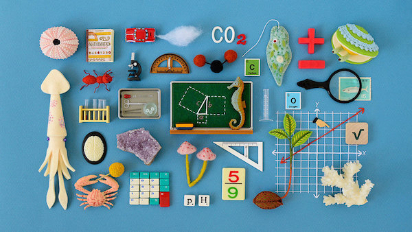 Incorporating Next Generation Science Standards Made Easy