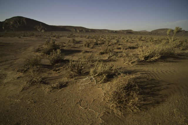 Farming the Desert - The Science Behind Desertification