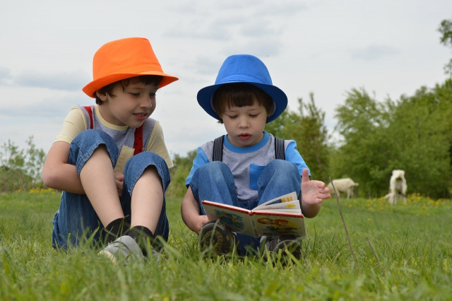 The 3 Little Pigs: Shared Reading Activities