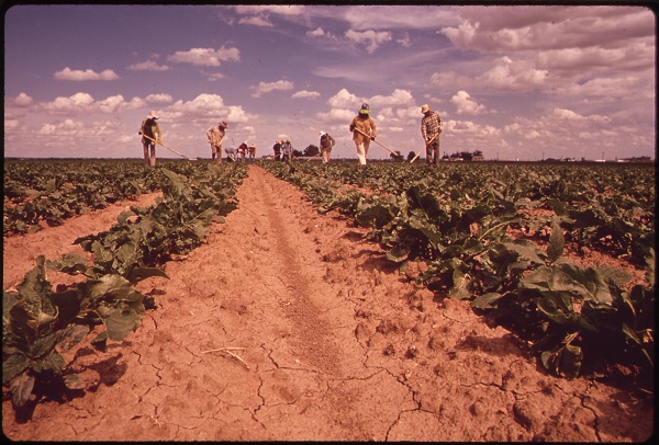 Migrant Workers Social Justice Project