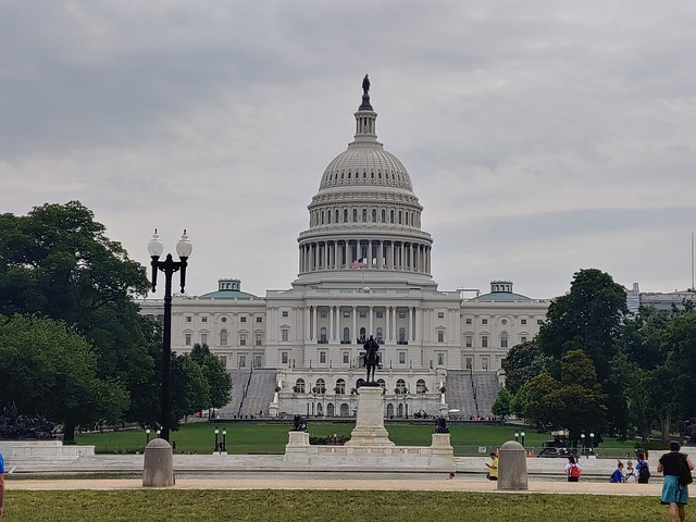 Lesson Plan: Analyzing the Second House Impeachment Debate of President Trump