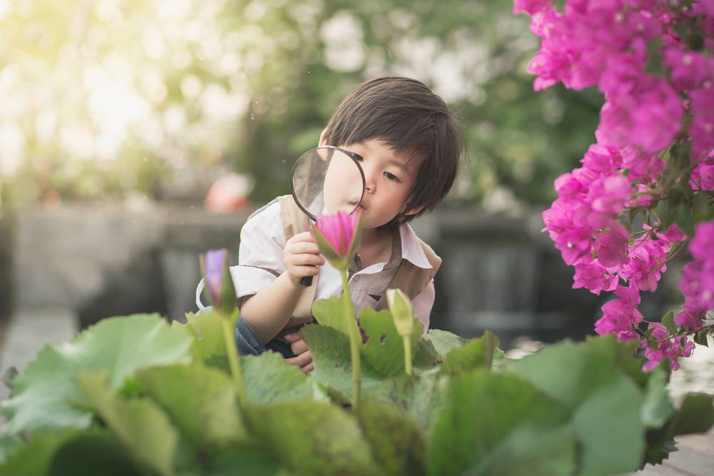 Reflections on the Flipped Classroom